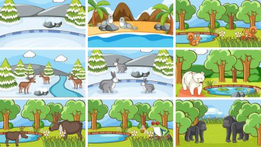 Vahşi doğadaki hayvanların arka plan görüntüleri.