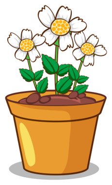 beyaz zemin üzerine beyaz çiçekler