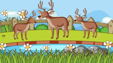 Parkta ren geyiği sahnesi