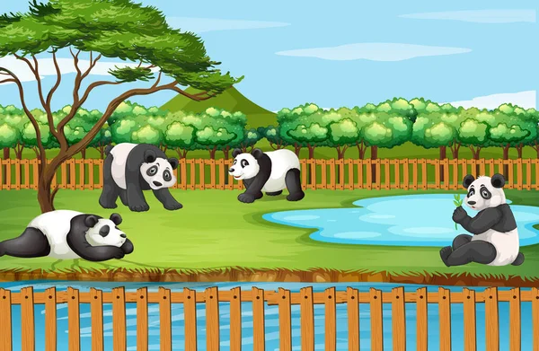 Escena con panda en el zoológico — Vector de stock