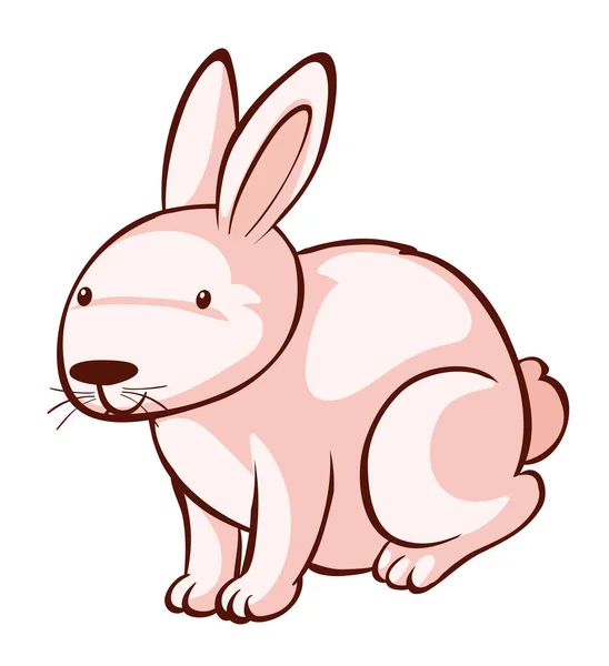 白い背景にピンクのウサギ — ストックベクタ
