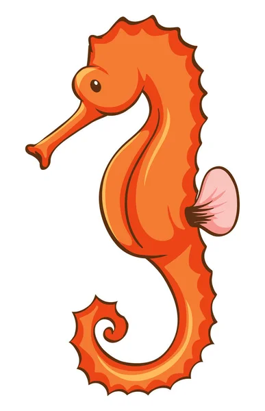 Orange seahorse on white background — Stock Vector
