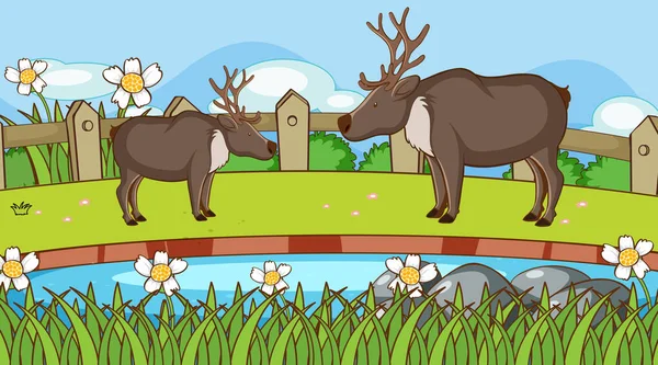 Bahçede ren geyiği sahnesi