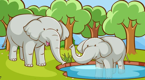 Scene with elephants in forest — Stock Vector