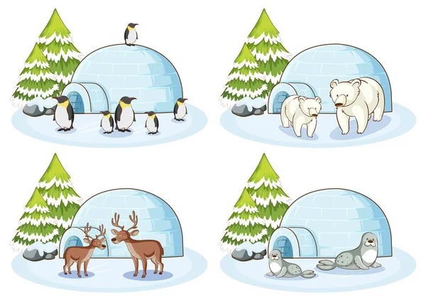 Чотири зимові сцени з різними тваринами — стоковий вектор