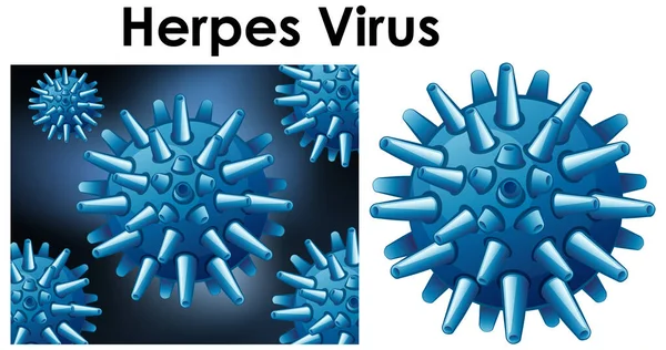 Nahaufnahme isoliertes Objekt des Virus namens Herpes-Virus — Stockvektor