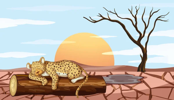 Сцена с тигром и засухой — стоковый вектор