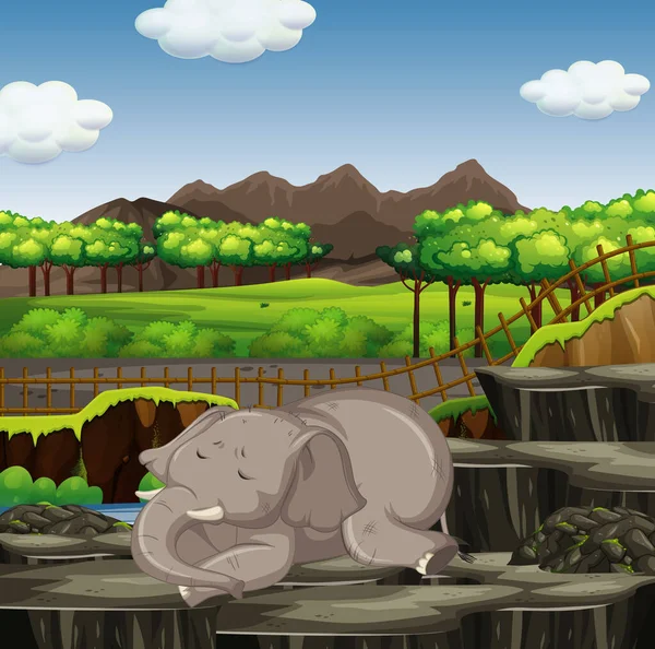 Scéna se slonem v zoo — Stockový vektor