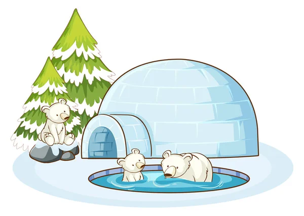 IJsberen en iglo in de sneeuw — Stockvector