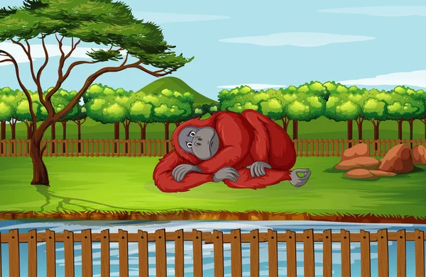 Szene mit Gorilla im Zoo — Stockvektor