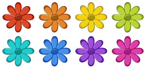 Geïsoleerde set bloemen — Stockvector