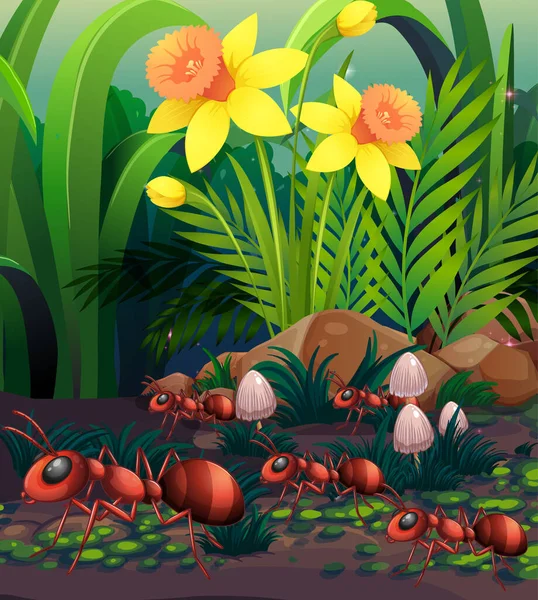 Scena przyrodnicza z mrówkami i grzybami — Wektor stockowy