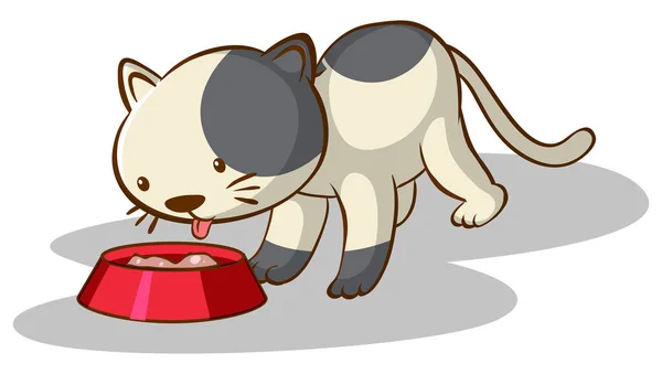 Kedi beyaz arka planda yemek yiyor. — Stok Vektör
