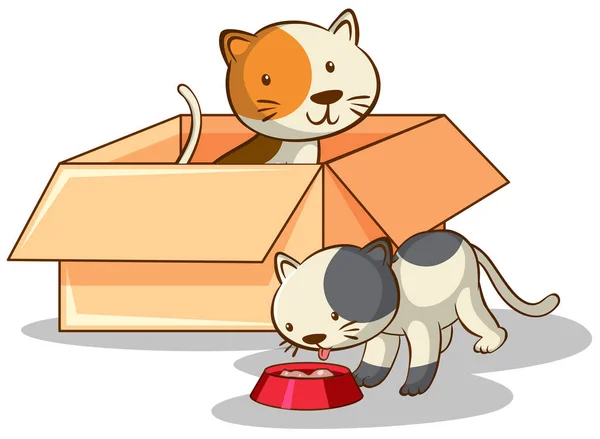 Lindos gatos en caja sobre fondo blanco — Vector de stock