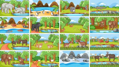 Vahşi doğadaki hayvanların arka plan görüntüleri.