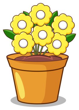 Beyaz arkaplanda Yllow çiçekleri