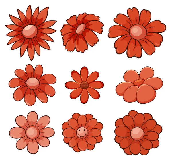 赤で孤立した花の集合 — ストックベクタ