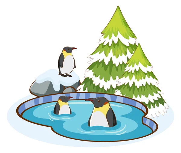 Tučňáci v jezírku — Stockový vektor