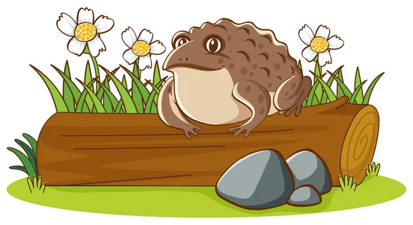 Isolated picture of brown toad on log — ストックベクタ