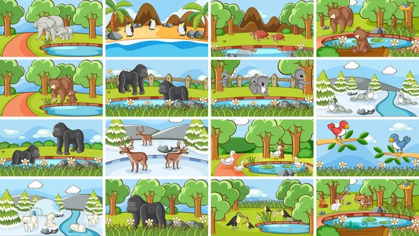 Escenas de fondo de animales en la naturaleza — Vector de stock