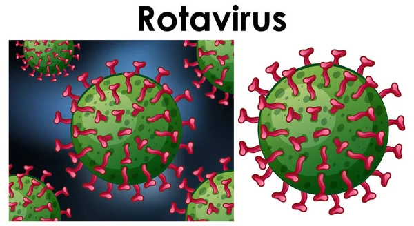 Nahaufnahme isoliertes Objekt des Virus Rotavirus — Stockvektor