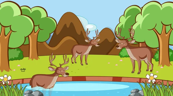 Scene with deers in the forest — Stock Vector