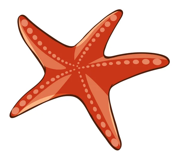 Bintang laut merah pada latar belakang putih - Stok Vektor