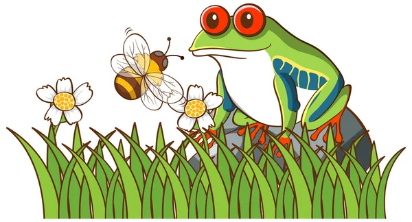 Isolated picture of green frog in garden — Stock Vector