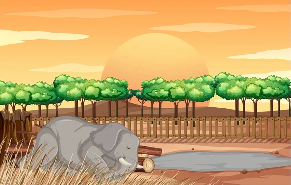 Сцена зі слоном в зоопарку — стоковий вектор