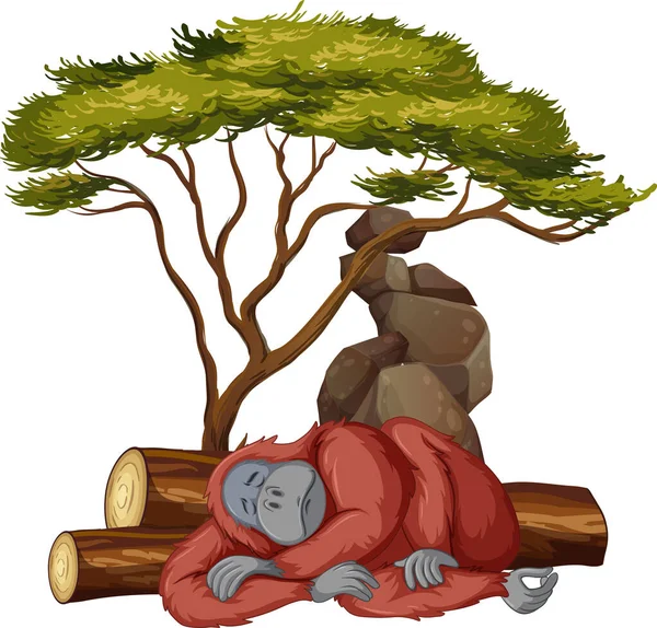 Geïsoleerde afbeelding van gorilla slapend — Stockvector