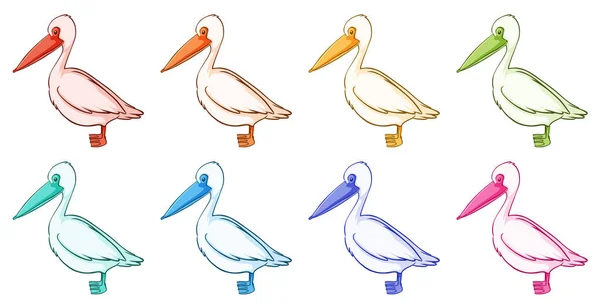 Isolated set of pelican in different colors — Stock Vector