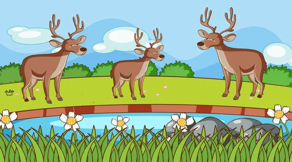Escena con tres ciervos en el parque — Vector de stock