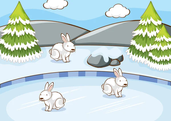 겨울 토끼와 함께 있는 장면 — 스톡 벡터