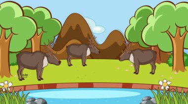 Ormanda geyikli sahne