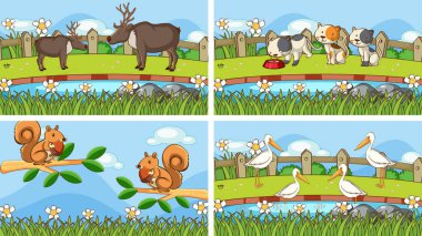 Vahşi doğadaki hayvanların arka plan görüntüleri.