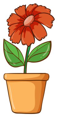 Kil çömlekte tek çiçek