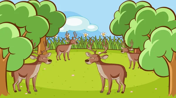 Scene with many deers in the forest — 图库矢量图片