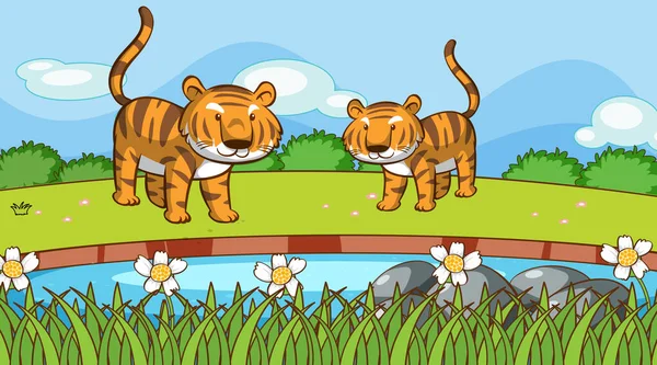 Escena con dos tigres en el parque — Vector de stock