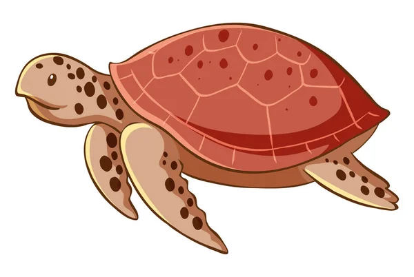 Zeeschildpad op witte achtergrond — Stockvector