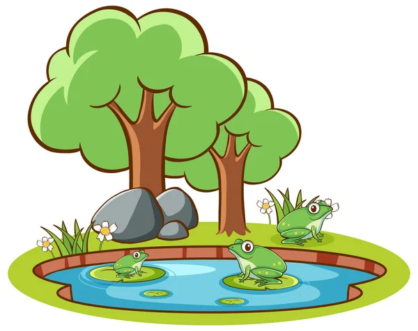 Isolated picture of frogs in the pond — Stock Vector