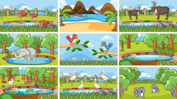 Escenas de fondo de animales en la naturaleza — Vector de stock