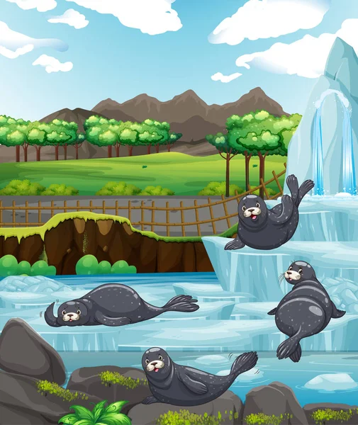 Scene with seals at the zoo — 图库矢量图片