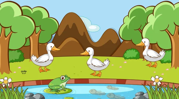 Scene with ducks and frog in the park — Stock Vector