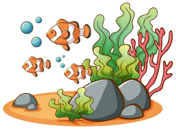 Clownfish κολύμπι σε λευκό φόντο — Διανυσματικό Αρχείο
