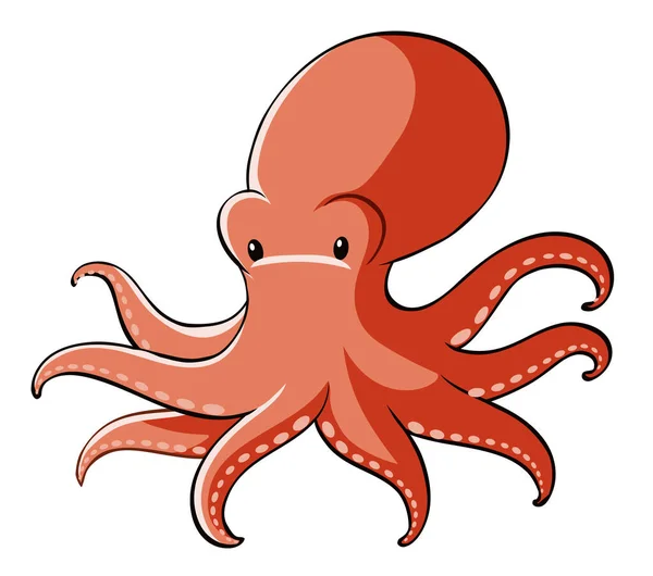 Red octopus on white background — Stock Vector