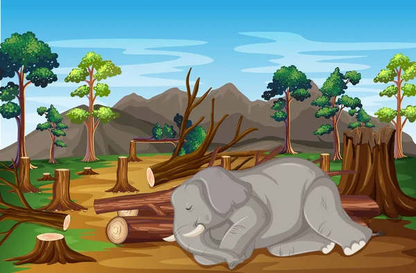 Scene with sick elephant and deforestation — Stock Vector