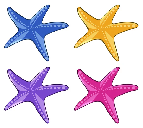 Estrella de mar en cuatro colores diferentes — Archivo Imágenes Vectoriales