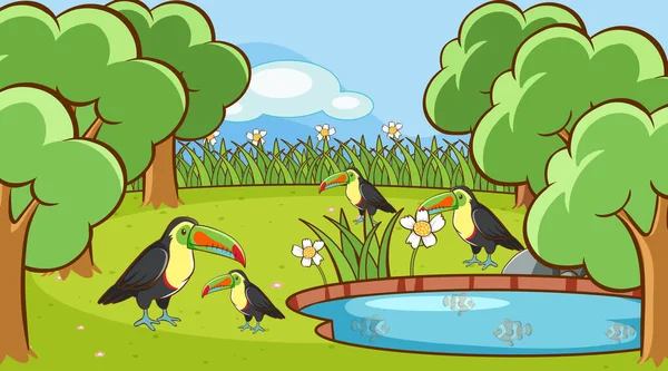 Scène avec des oiseaux toucans dans le parc — Image vectorielle