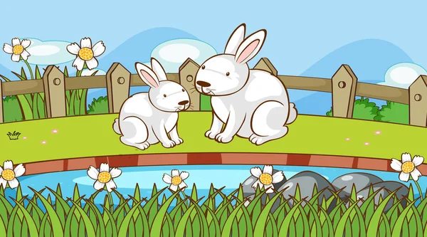 Scene with two rabbits in the park — Stock Vector