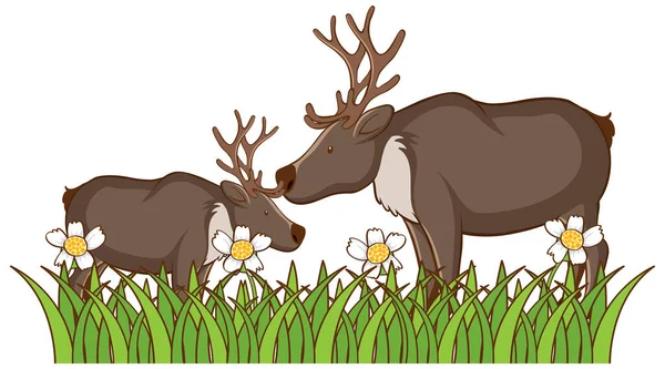 Isolated picture of two deers — Stock Vector